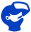 Virzuals Footer Logo